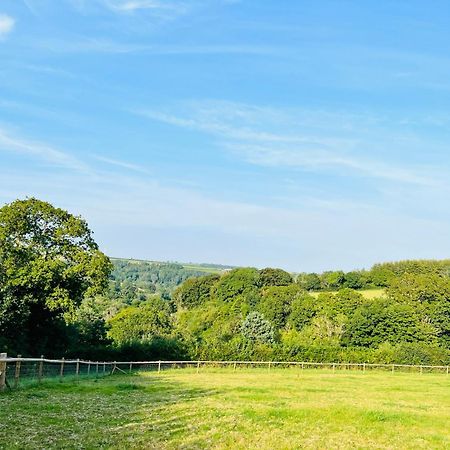1 Bedroom Holiday Let In The Heart Of West Wales Carmarthen Eksteriør bilde
