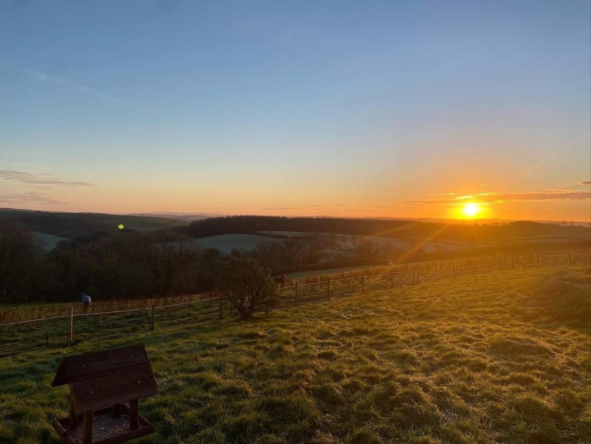 1 Bedroom Holiday Let In The Heart Of West Wales Carmarthen Eksteriør bilde
